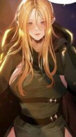 This World’s Harem Knight